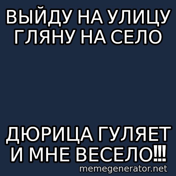 Shirokov meme: Выйду на улицу гляну на село / Дюрица гуляет и мне весело!!!