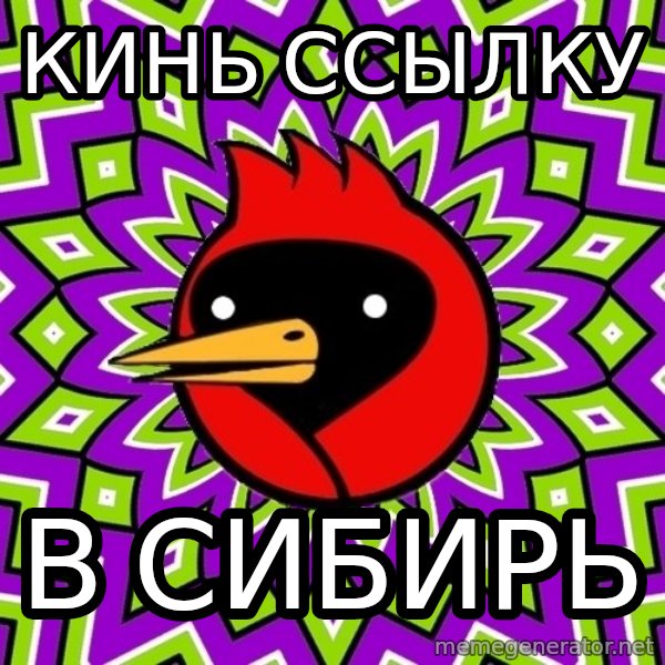 Omsk Crow meme: кинь ссылку / в сибирь