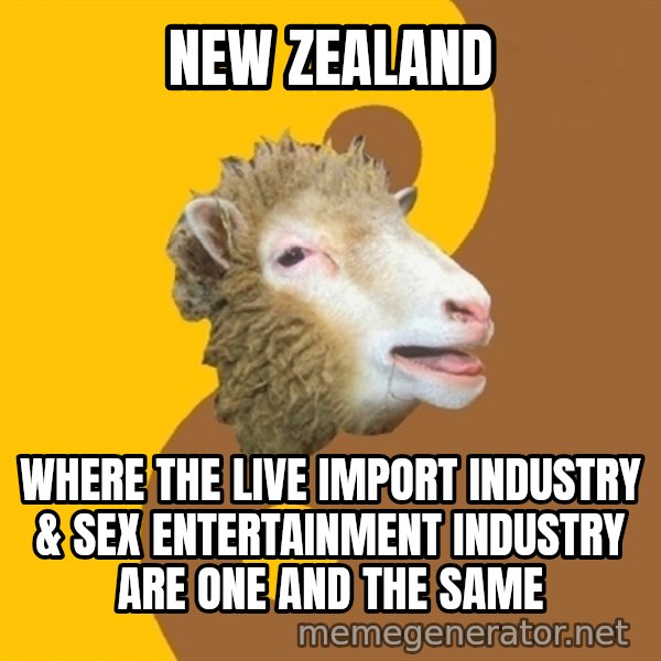 Sheep Obscurantist meme: New zealand / WHERE THE LIVE IMPORT INDUSTRY & SEX ENTERTAINMENT INDUSTRY are one and the same