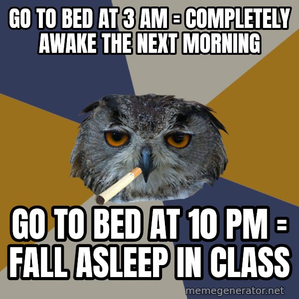 Art Student Owl meme: GO TO BED AT 3 AM = COMPLETELY AWAKE THE NEXT MORNING / GO TO BED AT 10 PM = FALL ASLEEP IN CLASS