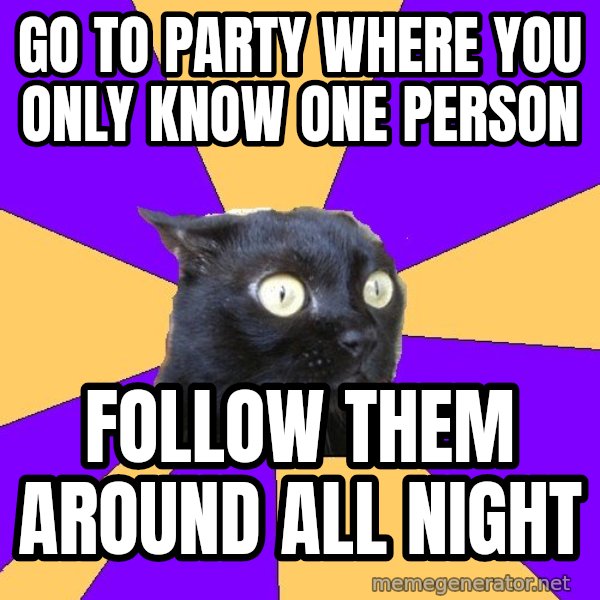 Anxiety Cat meme: go to party where you only know one person / Follow them around all night