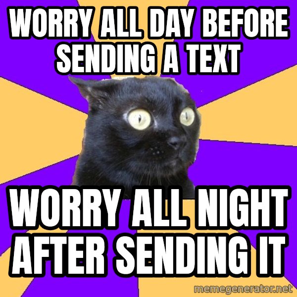 Anxiety Cat meme: Worry all day before sending a text / worry all night after sending it
