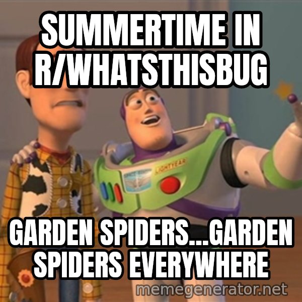 Anonymous, Anonymous Everywhere meme: Summertime in r/whatsthisbug / Garden spiders...garden spiders everywhere