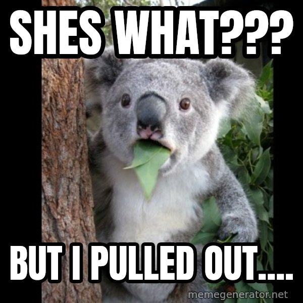 Koala can't believe it meme: shes what??? / but i pulled out....