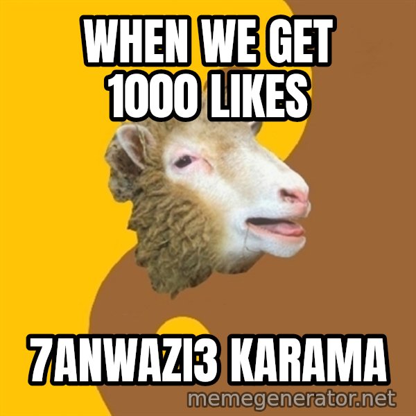 Sheep Obscurantist meme: when we get 1000 likes / 7anwazi3 karama