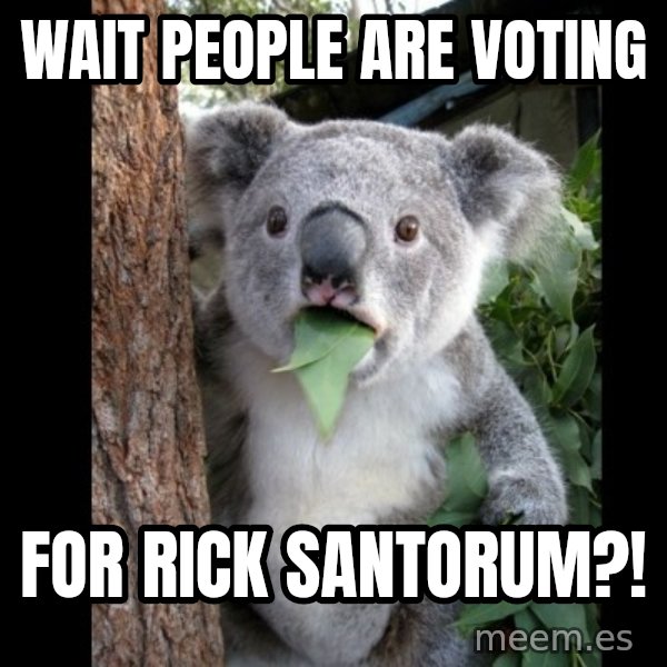 Koala can't believe it meme: wait people are voting / for rick santorum?!