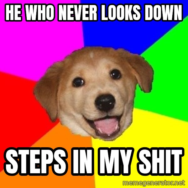 Advice Dog meme: he who never looks down / steps in my shit