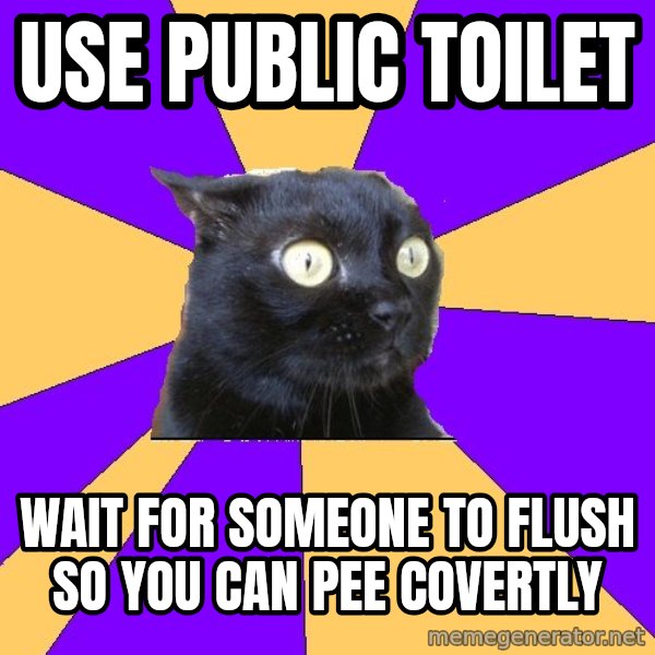 Anxiety Cat meme: USE PUBLIC TOILET / WAIT FOR SOMEone TO FLUSH SO YOU CAN PEE COVERTLY