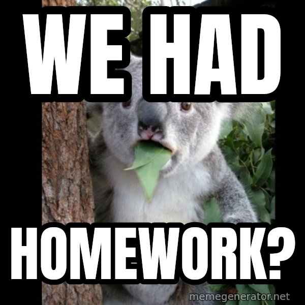 Koala can't believe it meme: we had / homework?