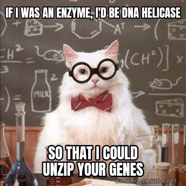 Science Cat meme: If i was an enzyme, i'd be dna helicase / so that i could unzip your genes