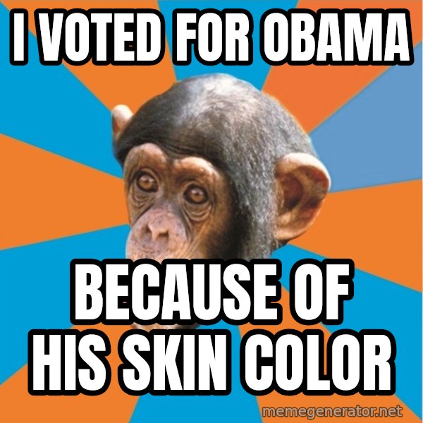 Stupid Monkey meme: I voted for Obama / because of his skin color