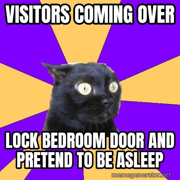Anxiety Cat meme: Visitors coming over / lock bedroom door and pretend to be asleep
