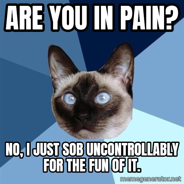 Chronic Illness Cat meme: are you in pain? / no, I just sob uncontrollably for the fun of it.