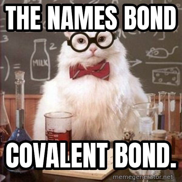 Chemistry Cat meme: The names bond / covalent bond.