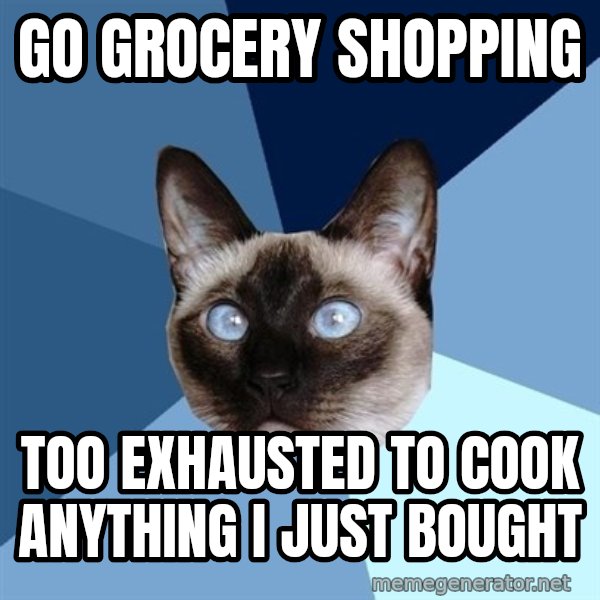 Chronic Illness Cat meme: go grocery shopping / too Exhausted to cook anything I just bought
