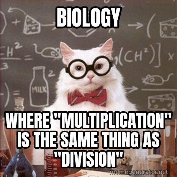 Science Cat meme: biology / where "multiplication" is the same thing as "division"