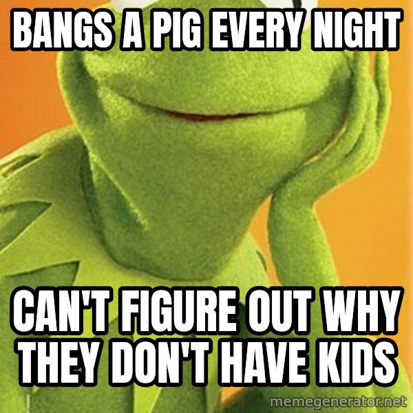 Kermit the frog meme: bangs a pig every night / can't figure out why they don't have kids