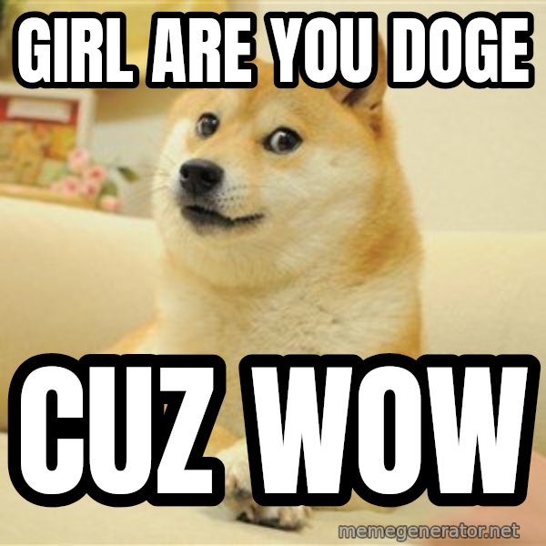 so doge meme: girl are you doge / cuz wow