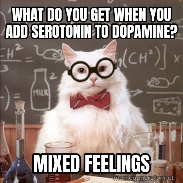 Science Cat meme: What do you get when you add serotonin to dopamine? / mixed feelings