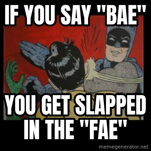 batman slap robin meme: If you say "bae" / you get slapped in the "fae"