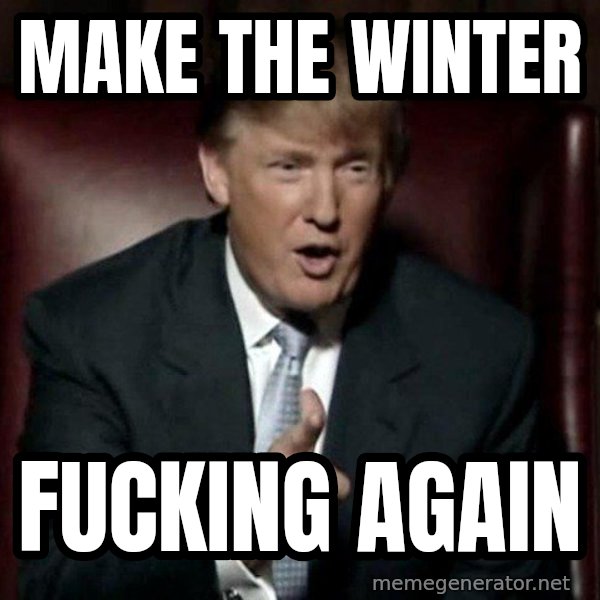 Donald Trump meme: Make the winter / fucking again