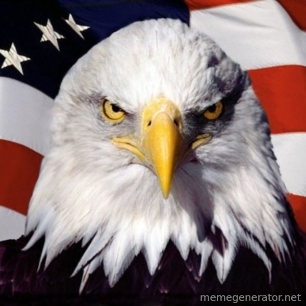 American Pride Eagle meme template