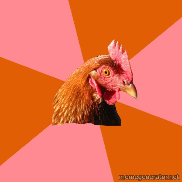 Anti Joke Chicken meme template